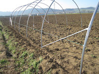 Far rimanere il cavetto all'esterno delle arcate.