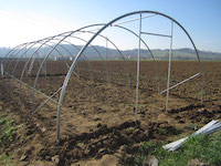 Realizzare uno scavo perimetrale per interrare i teli.