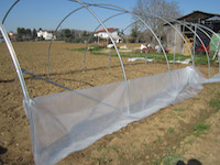 Accavallare il telo zoccolatura al cavetto precedentemente fissato.