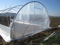 Sollevare il telo testata e bloccarlo provvisoriamente al colmo.