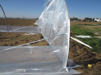 Completare il fissaggio dei 4 angoli fino a cm. 150 - 160 da terra