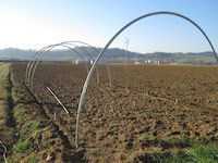 Infilare gli archi nei piedi.