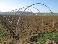 Completare il posizionamento archi.